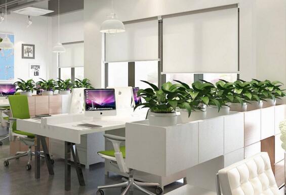 郑州办公室装修